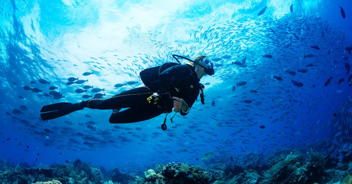 How to buy the perfect wetsuit the big wetsuit buying guide Custom