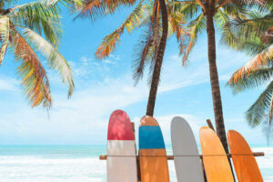 Best Places to surf